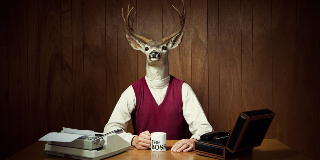 Optimize Agri-Digital Campaigns for Better ROI