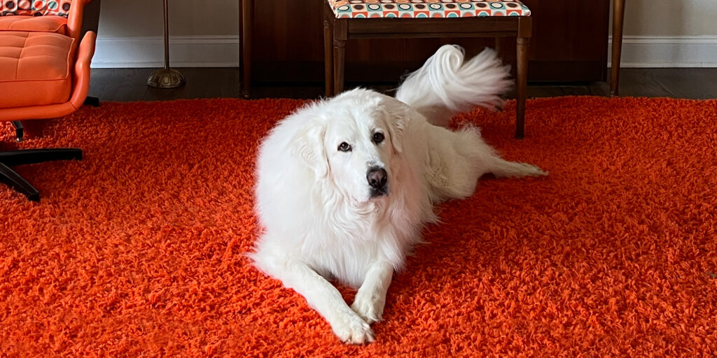 How to Build Traveller Intent in Toronto