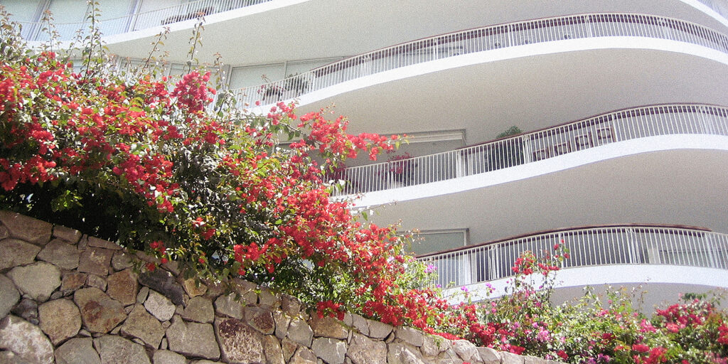 Choose a White-Label Media-Buying Partner in Canada